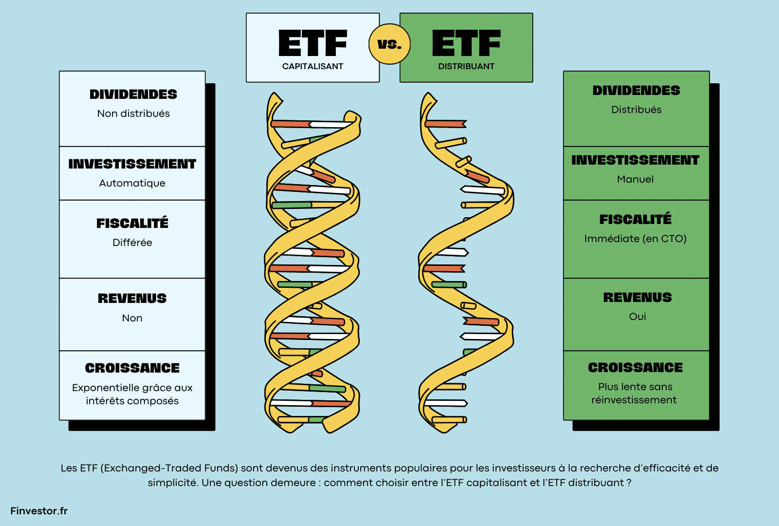 ETF capitalisant et ETF distribuant : Lequel choisir ?